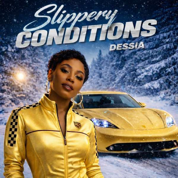 SLIPPERY CONDITIONS (Dessia Demo)